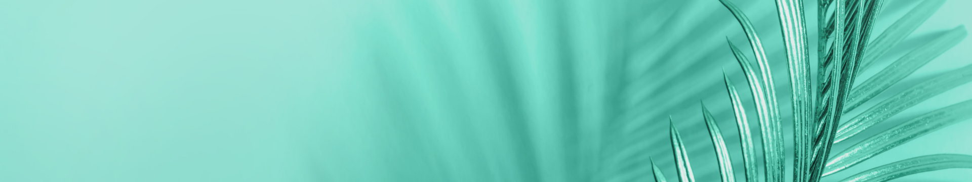 breadcrumb
